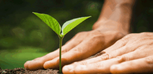 不動産のことはたくみ総合企画