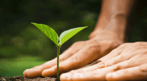 不動産をお探しならたくみ総合企画