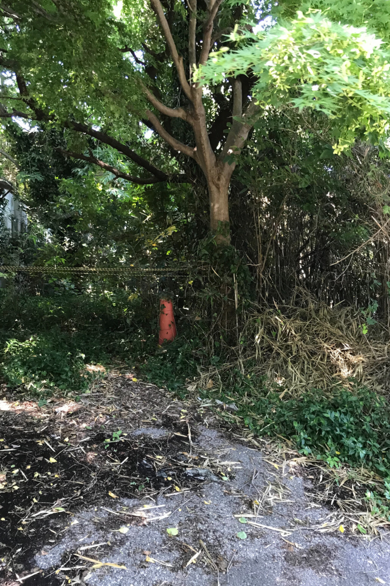 低未利用土地等を譲渡した場合の長期譲渡所得の100万円特別控除