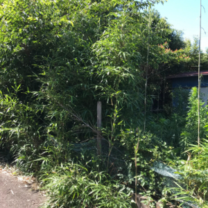 鎌ヶ谷市の調整区域の土地